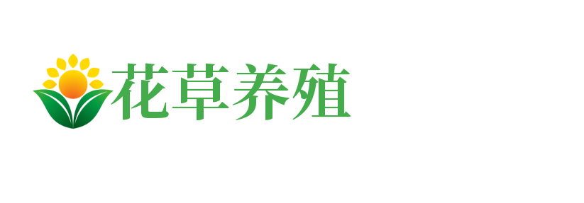 广东省广州市增城区各资总加固股份有限公司,天津广东省广州市增城区各资总加固股份有限公司